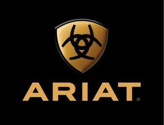 Ariat Cascade Work Boot