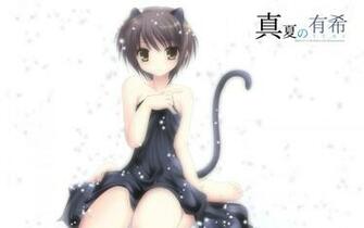 Nagato Yuki Wallpaper Nekomimi The