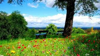 Spring Garden High Resolution Wallpaper For Desktop