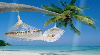 Tropical Island Screensaver Screensavergift