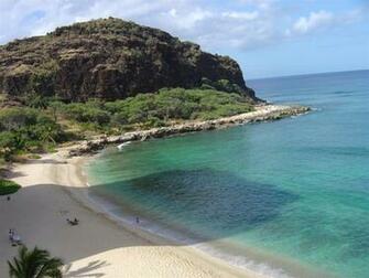 Photo Series Traveling Bug Lanai Hawaii Compose Yourself Magazine