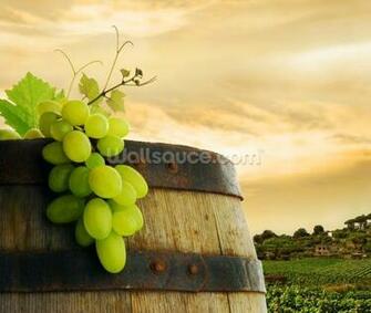 Wine Barrel And Grapes Wall Mural Wallpaper