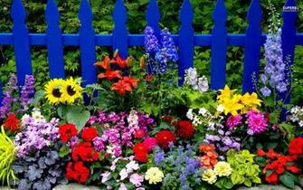 Summer Flowers Wallpaper