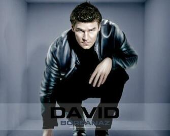 David Boreanaz Wallpaper