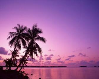 Pink Sunset Desktop Pc And Mac Wallpaper