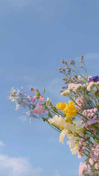 Ideas Of Aesthetic Floral Wallpaper For iPhone