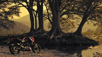 Ktm Duke Wallpaper Click For High Resolution