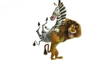 Madagascar Marty HD Wallpaper Background Of Your