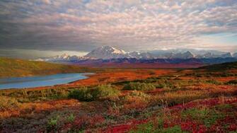Denali Wallpaper And Background Image Net