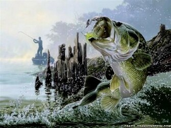 Back Gallery For Bass Computer Fishing Wallpaper