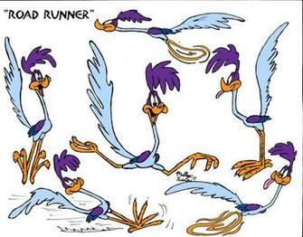 Road Runner Model Sheet By Matthewhunter