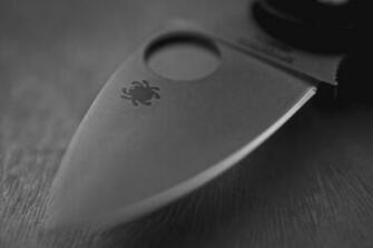 Best Spyderco Wallpaper Knife