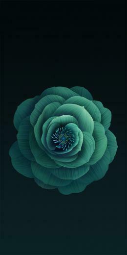 Xiaomi Mi 6x Stock Wallpaper