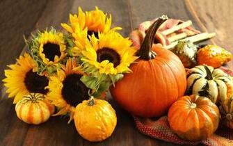 Desktop Pumpkin Wallpaper Net