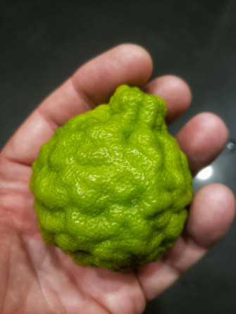 Green Round Kaffir Lime Citrus Fruit Wallpaper