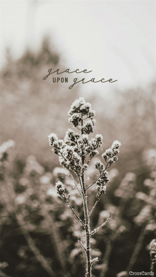 Jesus Grace Wallpaper
