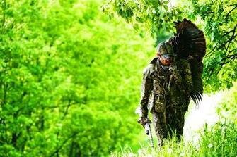 Turkey Hunting Image Crazy Gallery