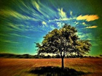 Psychedelic Nature Wallpaper