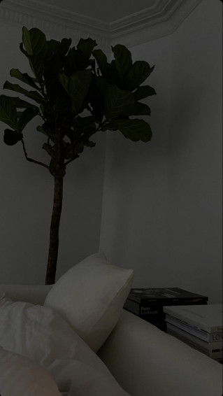 On H O M E Gray Aesthetic Black And White