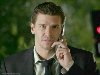 David Boreanaz Wallpaper