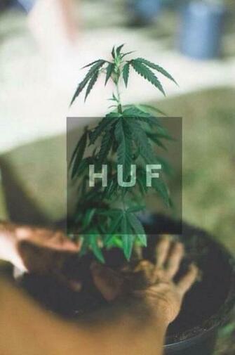 Fonds D Cran Huf Tous Les Wallpaper