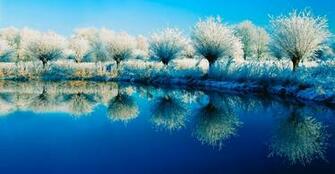 Beautiful Winter Wallpaper Background Image Design