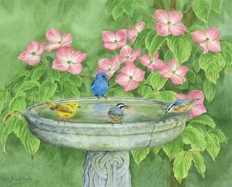 Lang Desktop Wallpaper June Birds In The Garden