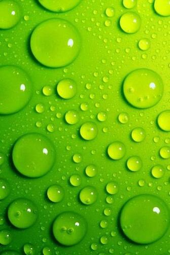Wallpaper Green Background Photos Of Best Place To Find For