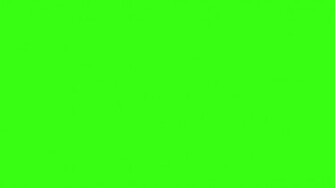 Green Solid Color Background And The Below