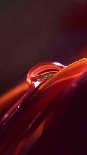 Nexus Wallpaper For iPhone Red Plus