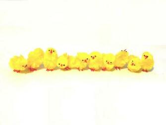 Easter Chick Wallpaper