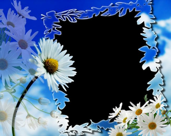 Frame Flowers Png