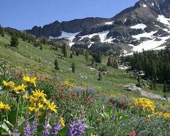 Mountain Goat Kids Wallpaper