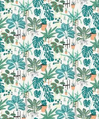 House Plants Bright Bold Botanical Wallpaper Milton King