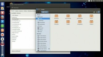 Ubuntu Themes Unity Gtk And Icon