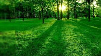 Nature Wallpaper