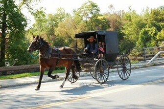 Amish And Mennonite Shopping Surround This Michigan B