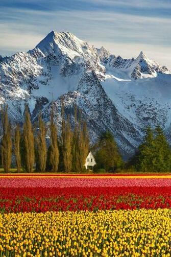 Sublim Ature Skagit County Washingtonlou Nicksic With Image