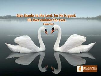 Right Click On This Image And Select Set As W Allpaper Or