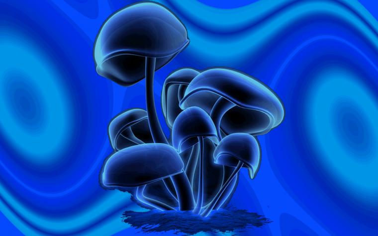 Magic Mushroom