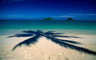 Oahu Beach Hawaii Desktop Wallpaper