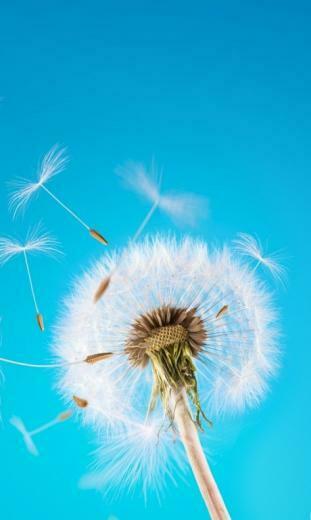 HD Wallpaper For Mobile Widescreen High