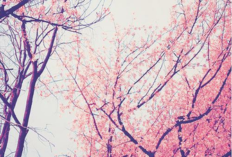 Pretty Background For