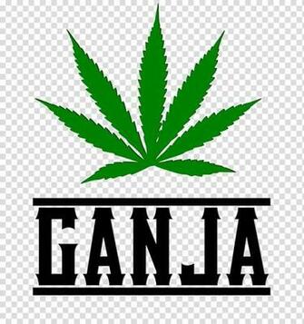 Cannabis Cultivation Kush Purple Innovation Medical