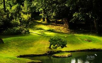 Garden Zen Wallpaper