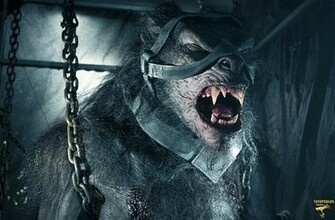 Underworld Werewolf Wallpaper William