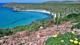 Baja California Wallpaper Beach Better