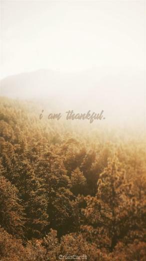 Thankful Wallpaper Top Background