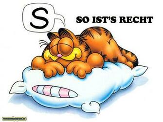 Gt Wallpaper Fond D Ecran Garfield