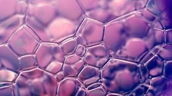 Bubble Macro Photography Wallpaper HD